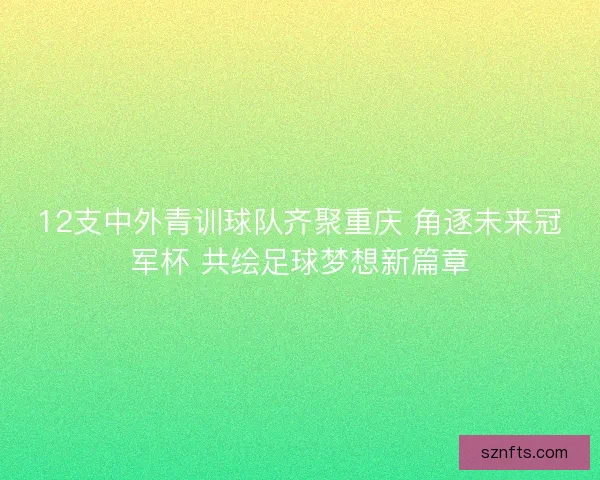 12支中外青训球队齐聚重庆 角逐未来冠军杯 共绘足球梦想新篇章 12支中外青训球队齐聚重庆 角逐未来冠军杯 共绘足球梦想新篇章