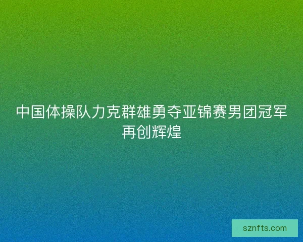 中国体操队力克群雄勇夺亚锦赛男团冠军再创辉煌 中国体操队力克群雄勇夺亚锦赛男团冠军再创辉煌
